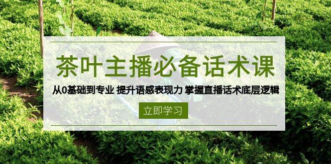 （13961期）茶叶 主播必备话术课 从0基础到专业 提升语感表现力 掌握直播话术底层逻辑-87副业网