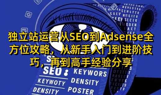 独立站运营从SEO到Adsense全方位攻略，从新手入门到进阶技巧，再到高手经验分享-87副业网