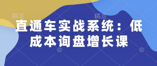 直通车实战系统：低成本询盘增长课，让个人通过技能实现升职加薪，让企业低成本获客，订单源源不断-87副业网