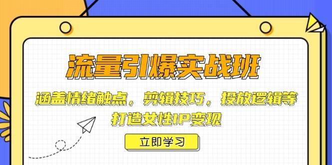 （14008期）流量引爆实战班，涵盖情绪触点，剪辑技巧，投放逻辑等，打造女性IP变现-87副业网