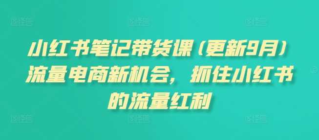 小红书笔记带货课(更新25年1月)流量电商新机会，抓住小红书的流量红利-87副业网